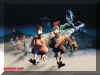 Chicken run 01.jpg (86962 octets)
