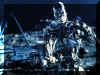 Terminator 03.JPG (116600 octets)