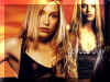 coyote ugly 03.JPG (117384 octets)