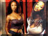 coyote ugly 06.JPG (134619 octets)