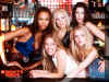 coyote ugly 08.jpg (158062 octets)