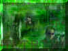 matrix 04.jpg (170635 octets)