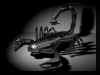 Scorpion 01.jpg (58714 octets)