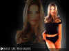 denise richards 05.jpg (67926 octets)